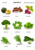 Vegetables 3 flashcards